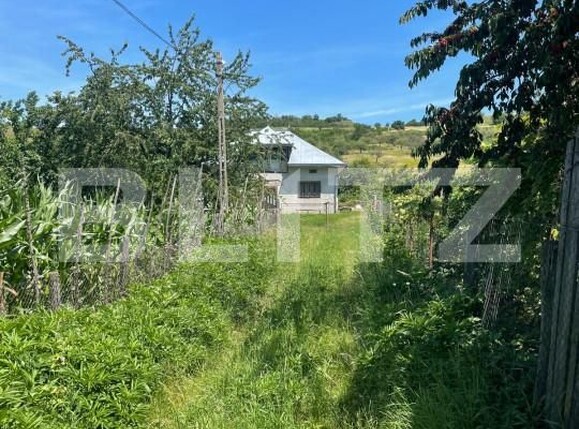 Casa de vânzare 4 camere Pomarla - 158588CV | BLITZ Botoșani | Poza7