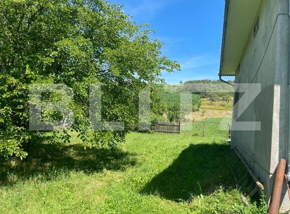 Casa de vânzare 4 camere Pomarla - 158588CV | BLITZ Botoșani | Poza8