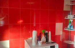 Casa cu 10 camere+ 1650mp teren, zona Lidl, Dorohoi, Botosani