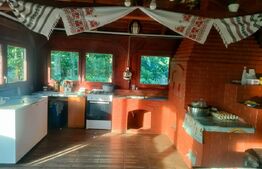 Casa cu 10 camere+ 1650mp teren, zona Lidl, Dorohoi, Botosani