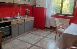 Casa cu 10 camere+ 1650mp teren, zona Lidl, Dorohoi, Botosani