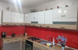Casa cu 10 camere+ 1650mp teren, zona Lidl, Dorohoi, Botosani