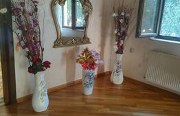 Casa cu 10 camere+ 1650mp teren, zona Lidl, Dorohoi, Botosani