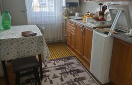 Apartament 3 camere+garaj, strada Stefan cel Mare, Dorohoi