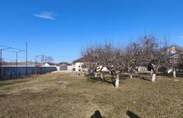 Casa 80mp + teren 1348mp, Dorohoi