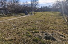 Casa 80mp + teren 1348mp, Dorohoi