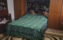 Casa+Teren 2204mp, sat Ibanesti, Dorohoi