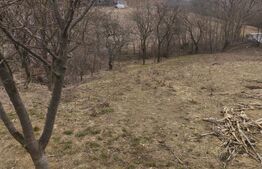 Casa+Teren 2204mp, sat Ibanesti, Dorohoi