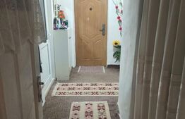 Casa+Teren 2204mp, sat Ibanesti, Dorohoi