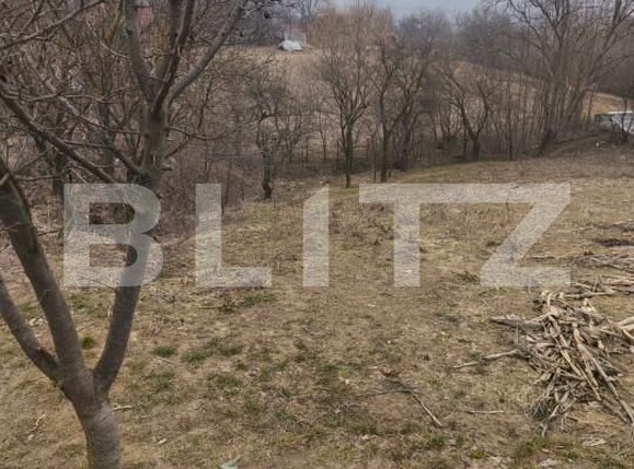 Casa de vânzare 2 camere Dorohoi - 166531CV | BLITZ Botoșani | Poza13