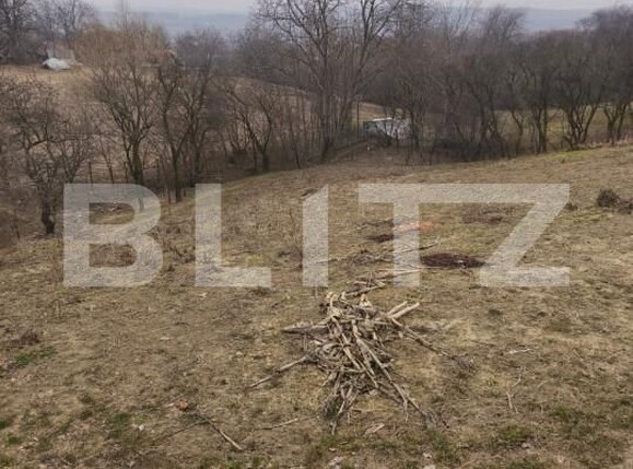 Casa de vânzare 2 camere Dorohoi - 166531CV | BLITZ Botoșani | Poza14