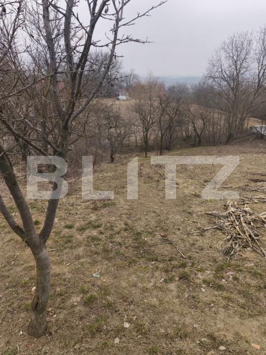 Casa de vânzare 2 camere Dorohoi - 166531CV | BLITZ Botoșani | Poza13