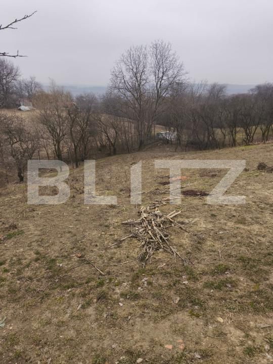 Casa de vânzare 2 camere Dorohoi - 166531CV | BLITZ Botoșani | Poza14