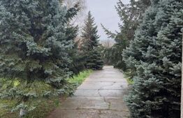 Oportunitate Unica de Investitie! Posibilitate parcelare! 4900 mp teren