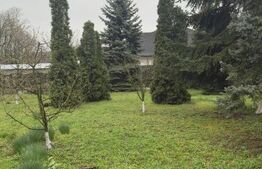 Oportunitate Unica de Investitie! Posibilitate parcelare! 4900 mp teren