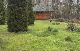 Oportunitate Unica de Investitie! Posibilitate parcelare! 4900 mp teren