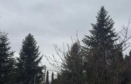 Oportunitate Unica de Investitie! Posibilitate parcelare! 4900 mp teren