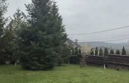 Oportunitate Unica de Investitie! Posibilitate parcelare! 4900 mp teren