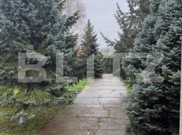 Casa de vânzare 5 camere Lebada - 168608CV | BLITZ Botoșani | Poza4