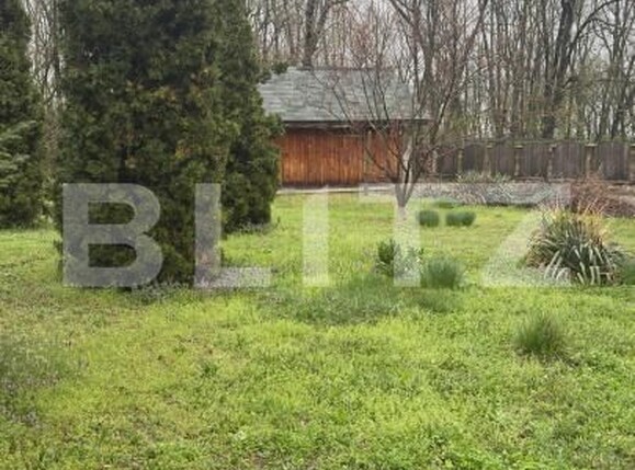 Casa de vânzare 5 camere Lebada - 168608CV | BLITZ Botoșani | Poza13