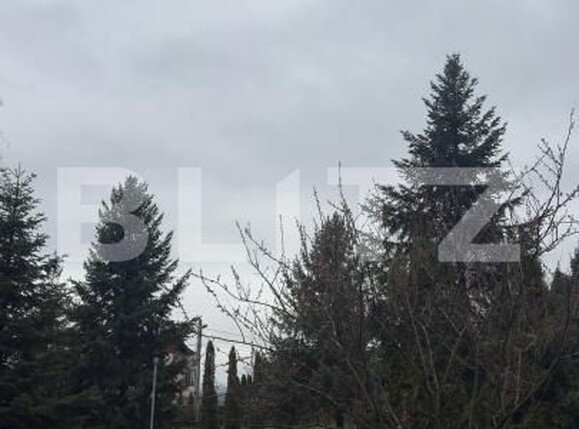 Casa de vânzare 5 camere Lebada - 168608CV | BLITZ Botoșani | Poza9