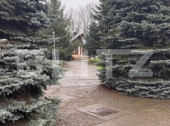 Casa de vânzare 5 camere Lebada - 168608CV | BLITZ Botoșani | Poza1