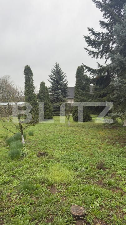 Casa de vânzare 5 camere Lebada - 168608CV | BLITZ Botoșani | Poza3
