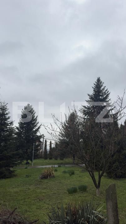 Casa de vânzare 5 camere Lebada - 168608CV | BLITZ Botoșani | Poza9