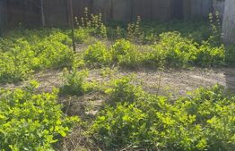 Oportunitate-Casa cu 3 camere, 110 mp, 450 mp teren, zona ultracentrala