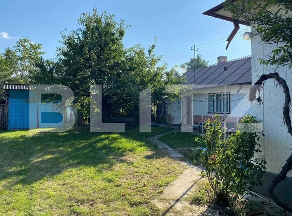 Casa de vânzare 3 camere Ibanesti - 169423CV | BLITZ Botoșani | Poza3