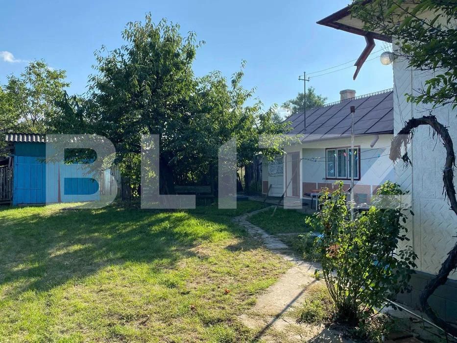 Casa de vânzare 3 camere Ibanesti - 169423CV | BLITZ Botoșani | Poza3