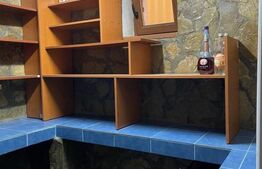 Casa premium, zona centrala, 224 mp utili s 500 mp teren