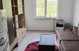 Garsoniera/camera camin, de vanzare, 20,5 mp, zona Liceu Elie Radu