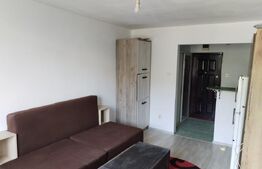 Garsoniera/camera camin, de vanzare, 20,5 mp, zona Liceu Elie Radu