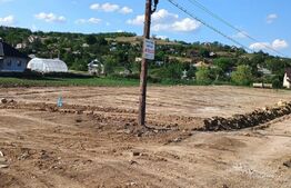 Teren intravilan de inchiriat , 4800mp, zona Rachiti-Botosani