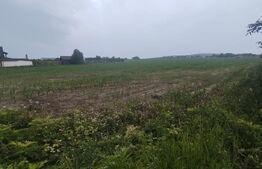 Teren extravilan, 7500mp, Oraseni Deal cu PUZ in lucru