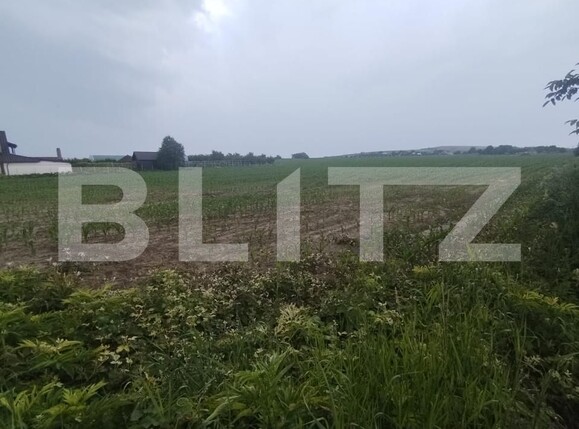 Teren de vânzare Oraseni-Deal - 172053TV | BLITZ Botoșani | Poza1