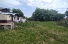 Teren de vanzare, 13390 mp, casă bătrânească demolabilă, zona Cervicesti