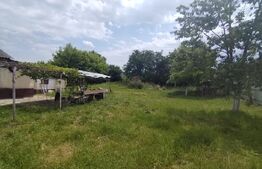 Teren de vanzare, 13390 mp, casă bătrânească demolabilă, zona Cervicesti