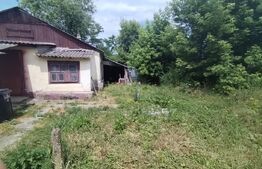 Teren de vanzare, 13390 mp, casă bătrânească demolabilă, zona Cervicesti