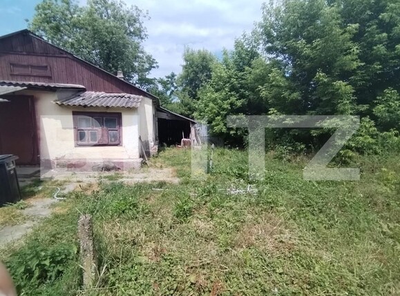 Casa de vânzare 3 camere Cervicesti - 172717CV | BLITZ Botoșani | Poza4