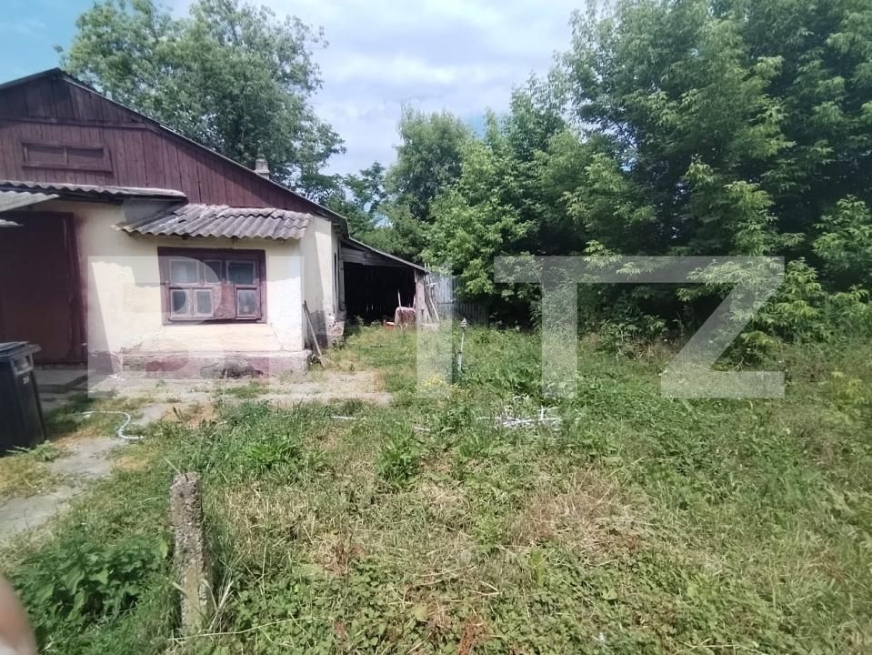 Casa de vânzare 3 camere Cervicesti - 172717CV | BLITZ Botoșani | Poza4