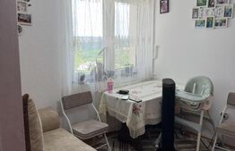 Micro-apartament de doua camere, 27mp zona Parcul Tineretului 