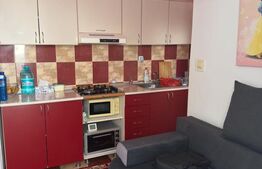 Micro-apartament de doua camere, 27mp zona Parcul Tineretului 