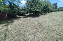 Teren intravilan, 3000 mp, zona Lebada, Botosani
