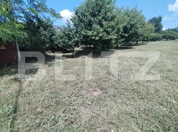 Teren de vânzare Lebada - 174182TV | BLITZ Botoșani | Poza1