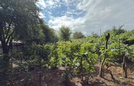 Teren Intravilan + Extravilan 5000 mp cu anexa demolabila Mănăstirea Doamnei 