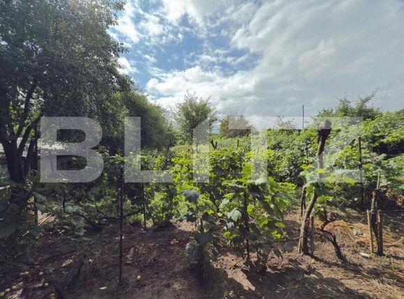 Casa de vânzare 1 camera Manastirea Doamnei - 174290CV | BLITZ Botoșani | Poza4