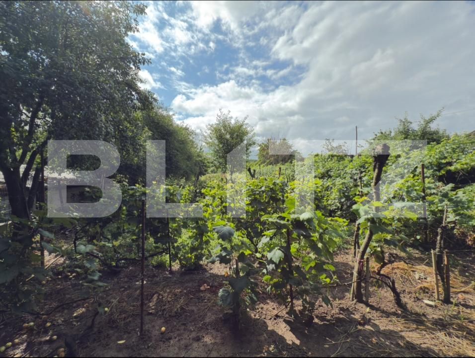 Casa de vânzare 1 camera Manastirea Doamnei - 174290CV | BLITZ Botoșani | Poza4