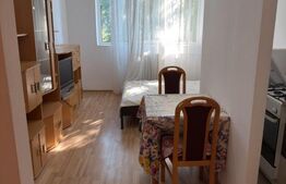 Garsoniera de vânzare, 21 mp, etaj 2, central